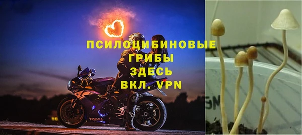 мяу мяу мука Новозыбков