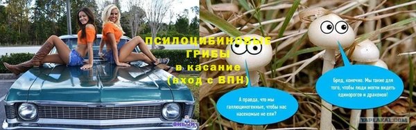меф Переславль-Залесский