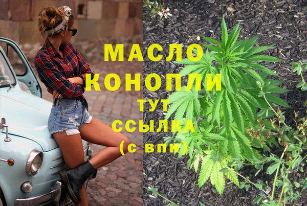 крисы Ельня